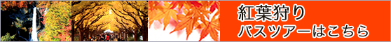 はとバス紅葉の旅はこちら