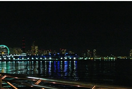 �L����H���i