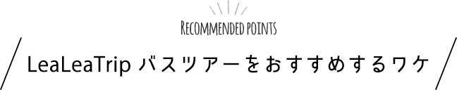 LeaLeaTripをおすすめするワケ