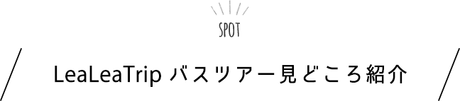 見どころ紹介