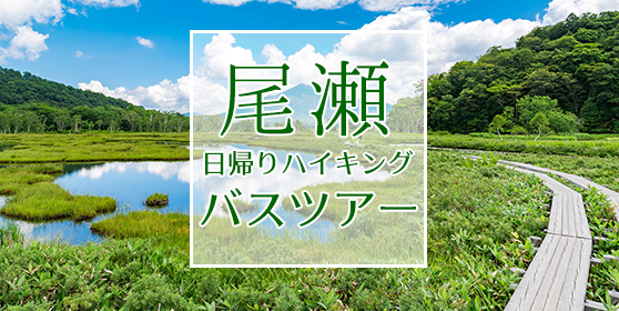東京発尾瀬日帰りツアー