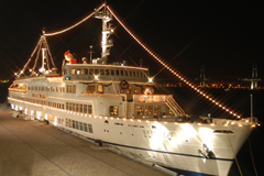 ロイヤルウイング 中華バイキングイメージ