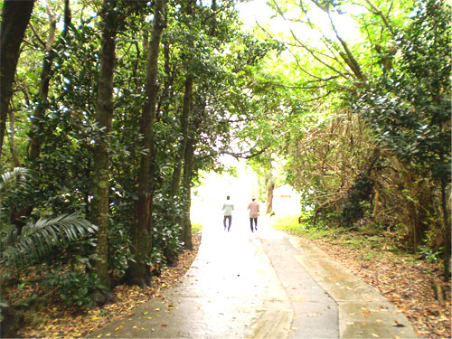 「久高島（くだかじま）」満喫ツアー！