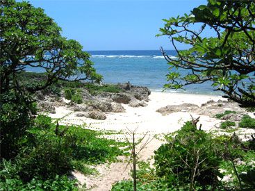 斎場御獄＆久高島巡りツアー