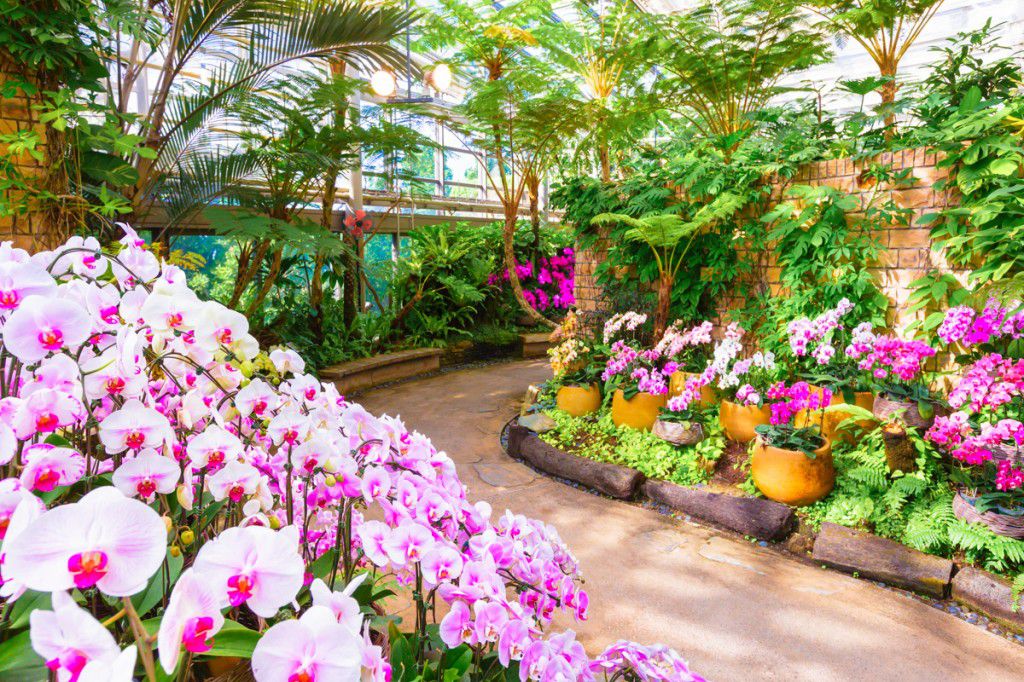 美ら島終日観光バスツアーＤコース